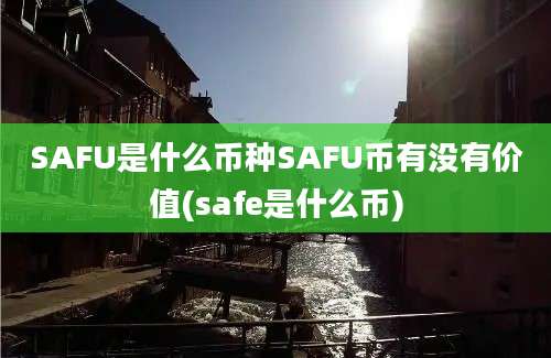 SAFU是什么币种SAFU币有没有价值(safe是什么币)