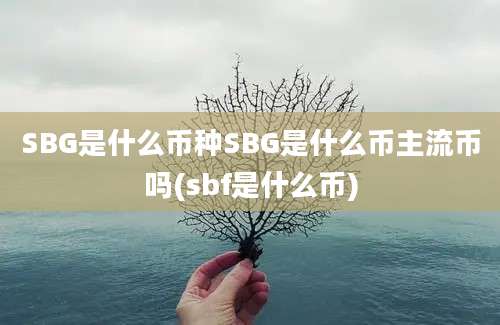 SBG是什么币种SBG是什么币主流币吗(sbf是什么币)