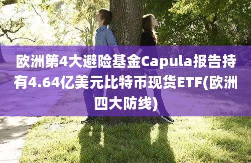 欧洲第4大避险基金Capula报告持有4.64亿美元比特币现货ETF(欧洲四大防线)