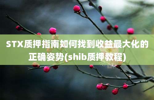 STX质押指南如何找到收益最大化的正确姿势(shib质押教程)