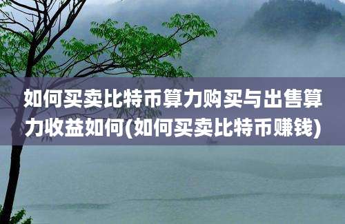 如何买卖比特币算力购买与出售算力收益如何(如何买卖比特币赚钱)