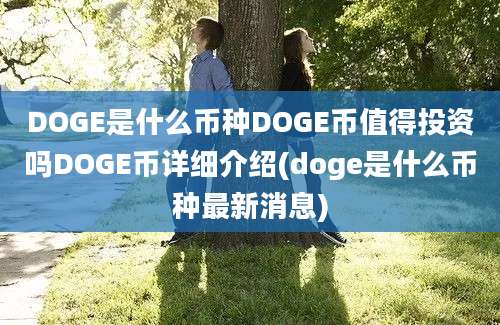 DOGE是什么币种DOGE币值得投资吗DOGE币详细介绍(doge是什么币种最新消息)