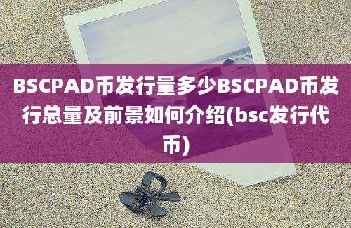 BSCPAD币发行量多少BSCPAD币发行总量及前景如何介绍(bsc发行代币)