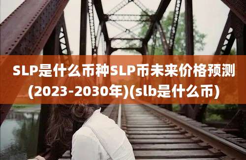 SLP是什么币种SLP币未来价格预测(2023-2030年)(slb是什么币)