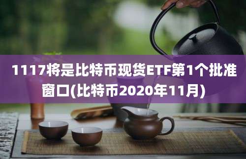 1117将是比特币现货ETF第1个批准窗口(比特币2020年11月)