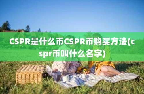 CSPR是什么币CSPR币购买方法(cspr币叫什么名字)