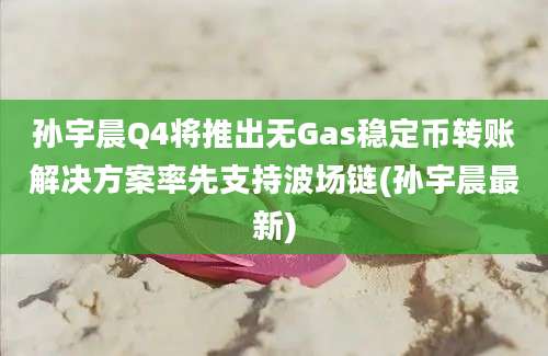 孙宇晨Q4将推出无Gas稳定币转账解决方案率先支持波场链(孙宇晨最新)