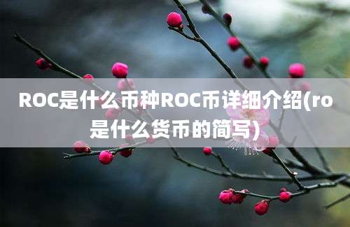 ROC是什么币种ROC币详细介绍(ro是什么货币的简写)