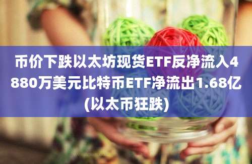 币价下跌以太坊现货ETF反净流入4880万美元比特币ETF净流出1.68亿(以太币狂跌)