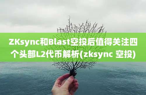 ZKsync和Blast空投后值得关注四个头部L2代币解析(zksync 空投)