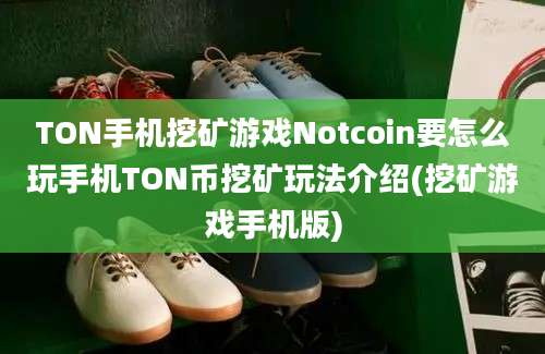 TON手机挖矿游戏Notcoin要怎么玩手机TON币挖矿玩法介绍(挖矿游戏手机版)