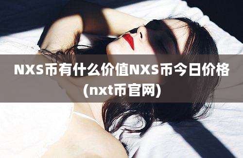 NXS币有什么价值NXS币今日价格(nxt币官网)