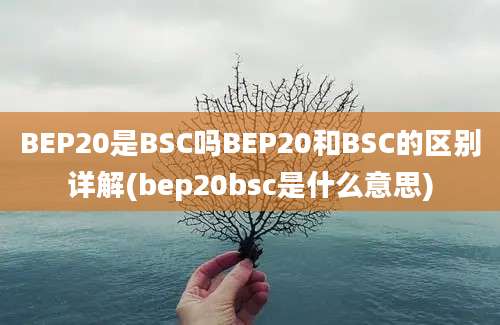 BEP20是BSC吗BEP20和BSC的区别详解(bep20bsc是什么意思)