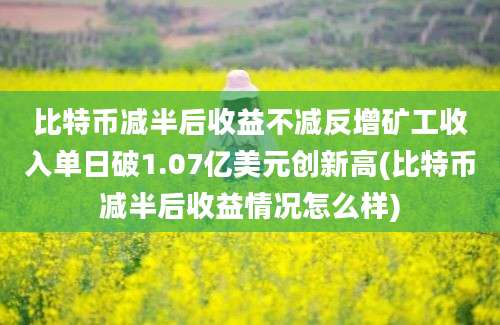 比特币减半后收益不减反增矿工收入单日破1.07亿美元创新高(比特币减半后收益情况怎么样)