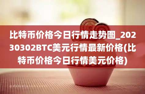 比特币价格今日行情走势图_20230302BTC美元行情最新价格(比特币价格今日行情美元价格)