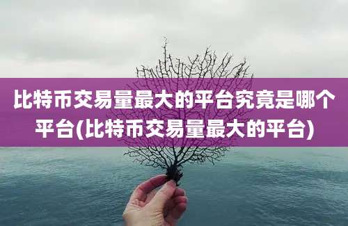 比特币交易量最大的平台究竟是哪个平台(比特币交易量最大的平台)