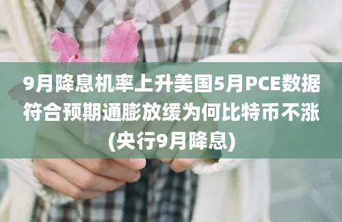 9月降息机率上升美国5月PCE数据符合预期通膨放缓为何比特币不涨(央行9月降息)