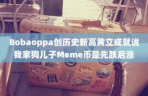 Bobaoppa创历史新高黄立成就说我家狗儿子Meme币是先跌后涨