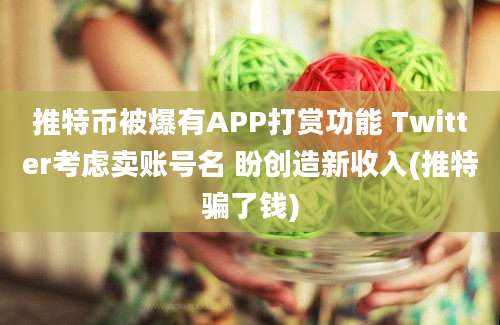 推特币被爆有APP打赏功能 Twitter考虑卖账号名 盼创造新收入(推特骗了钱)