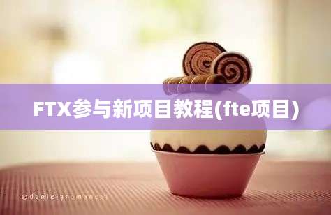 FTX参与新项目教程(fte项目)