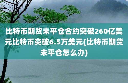 比特币期货未平仓合约突破260亿美元比特币突破6.5万美元(比特币期货未平仓怎么办)