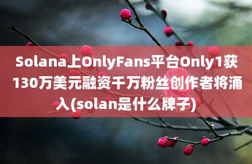 Solana上OnlyFans平台Only1获130万美元融资千万粉丝创作者将涌入(solan是什么牌子)