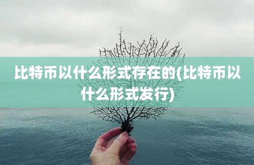 比特币以什么形式存在的(比特币以什么形式发行)