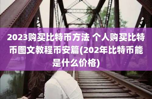 2023购买比特币方法 个人购买比特币图文教程币安篇(202年比特币能是什么价格)