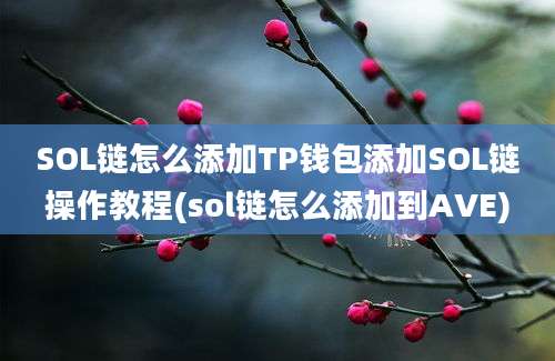 SOL链怎么添加TP钱包添加SOL链操作教程(sol链怎么添加到AVE)