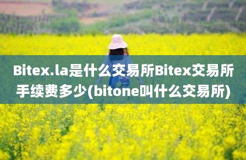 Bitex.la是什么交易所Bitex交易所手续费多少(bitone叫什么交易所)