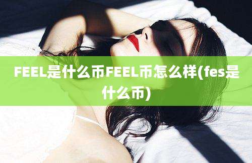 FEEL是什么币FEEL币怎么样(fes是什么币)