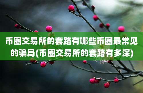 币圈交易所的套路有哪些币圈最常见的骗局(币圈交易所的套路有多深)