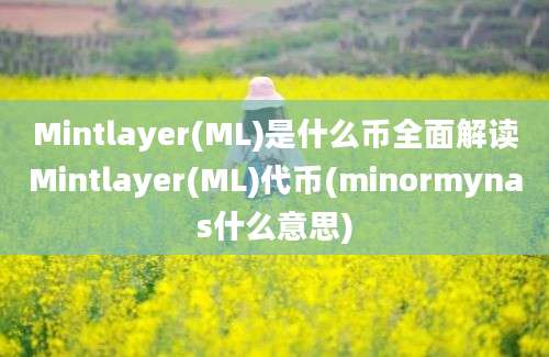 Mintlayer(ML)是什么币全面解读Mintlayer(ML)代币(minormynas什么意思)