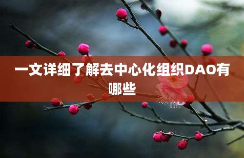 一文详细了解去中心化组织DAO有哪些