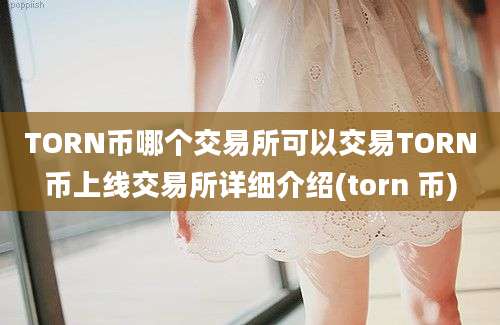 TORN币哪个交易所可以交易TORN币上线交易所详细介绍(torn 币)