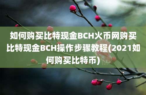 如何购买比特现金BCH火币网购买比特现金BCH操作步骤教程(2021如何购买比特币)