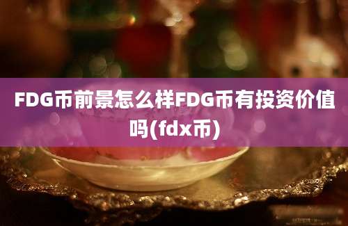 FDG币前景怎么样FDG币有投资价值吗(fdx币)