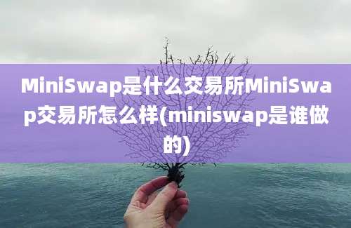 MiniSwap是什么交易所MiniSwap交易所怎么样(miniswap是谁做的)