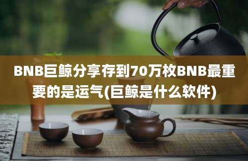 BNB巨鲸分享存到70万枚BNB最重要的是运气(巨鲸是什么软件)