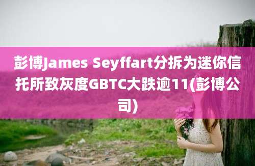 彭博James Seyffart分拆为迷你信托所致灰度GBTC大跌逾11(彭博公司)