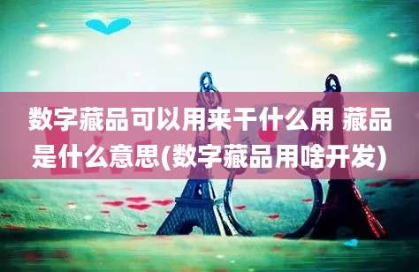 数字藏品可以用来干什么用 藏品是什么意思(数字藏品用啥开发)