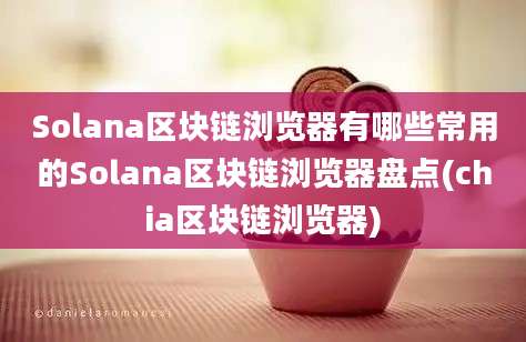 Solana区块链浏览器有哪些常用的Solana区块链浏览器盘点(chia区块链浏览器)