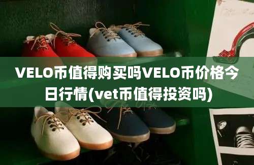 VELO币值得购买吗VELO币价格今日行情(vet币值得投资吗)