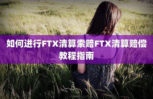 如何进行FTX清算索赔FTX清算赔偿教程指南