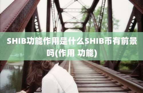 SHIB功能作用是什么SHIB币有前景吗(作用 功能)