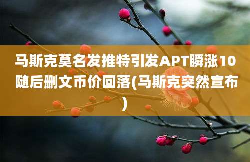 马斯克莫名发推特引发APT瞬涨10 随后删文币价回落(马斯克突然宣布)