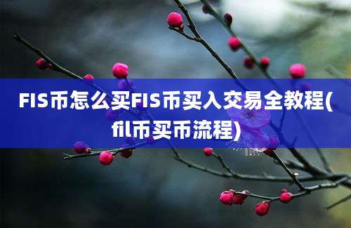 FIS币怎么买FIS币买入交易全教程(fil币买币流程)