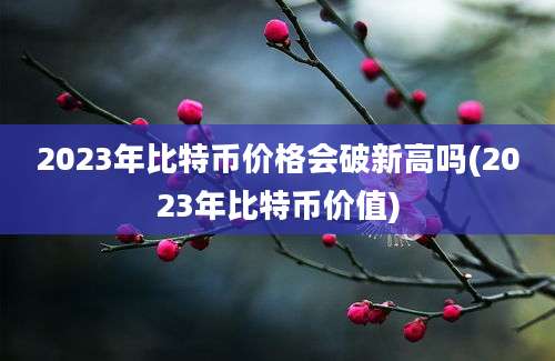 2023年比特币价格会破新高吗(2023年比特币价值)