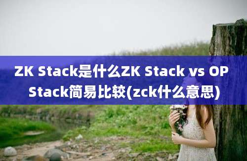 ZK Stack是什么ZK Stack vs OP Stack简易比较(zck什么意思)