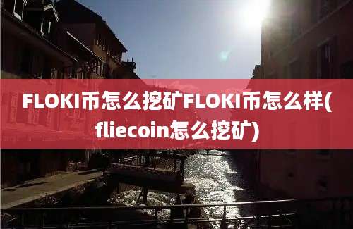 FLOKI币怎么挖矿FLOKI币怎么样(fliecoin怎么挖矿)